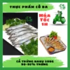 Cá Trứng Siêu Trứng Khay 500G (90% Trứng) - Nguyên Liệu Dinh Dưỡng Thơm Ngon
