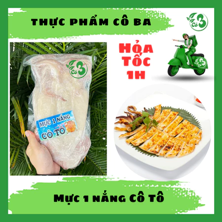 Mực Cô Tô 1KG (1 Túi 3 Con) – Tươi Ngon Chuẩn Vị Biển