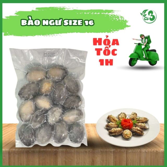BÀO NGƯ – HẢI SẢN CAO CẤP, TINH HOA ẨM THỰC BIỂN